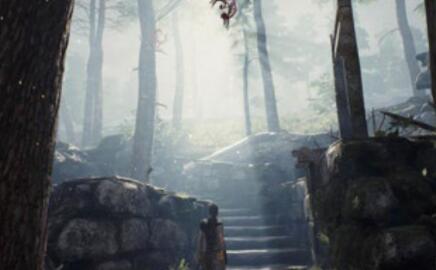 《狱刃 塞娜的献祭》游戏拥有出色的游戏画面搭配上颇具深度的游戏剧情
